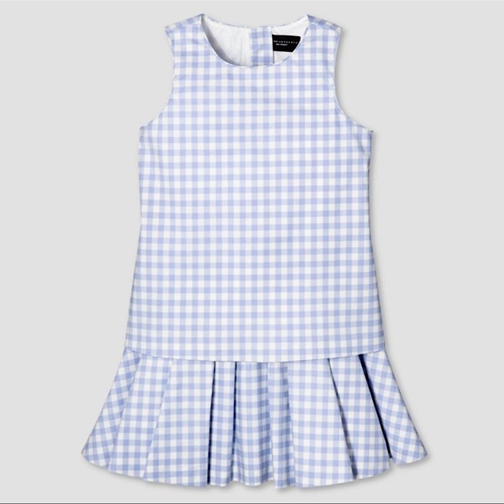 VICTORIA Beckham for Target Blue & White Gingham Dress Drop Waist Lined Size Med - Picture 3 of 11